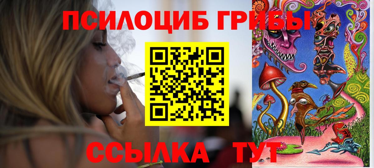 Псилоцибиновые грибы Cubensis  Вход с VPN  Соль-Илецк  закладка  Псилоцибиновые грибы мухоморы 